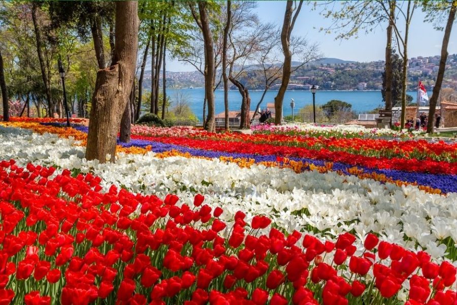 ПРОЛЕТНА ПРИКАЗКА – ФЕСТИВАЛ НА ЛАЛЕТО В ИСТАНБУЛ, ЕКСКУРЗИЯ С 2 НОЩУВКИ