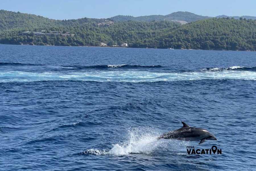 ЛЯТНА ЕКСКУРЗИЯ ДО ОСТРОВ СКИАТОС, ВОЛОС И СОЛУН, 2 НОЩУВКИ ВЪВ ВОЛОС